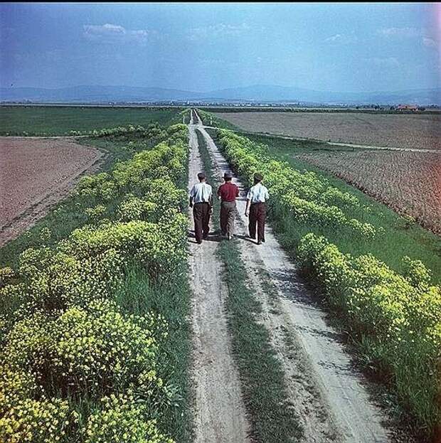 Подборка фотографий из архива популярного в СССР журнала «Огонек»