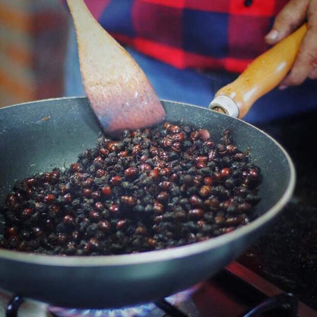 Cooking with big-bottomed ants.