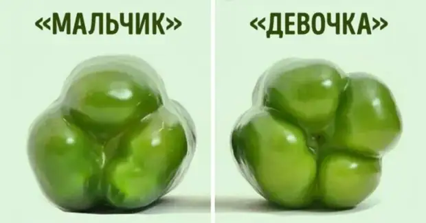 ""  , ""  :    