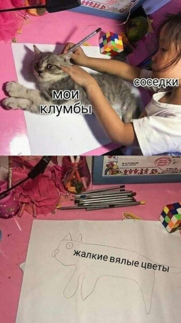 Мемы для пенсионеров