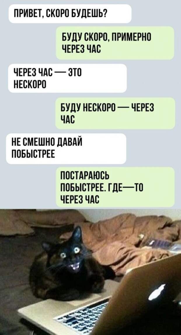 kartinok-intepesnyh-prikolnyh-kartinki-smeshnye-kartinki-fotoprikoly