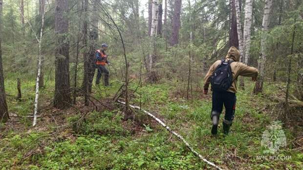 Детей, пропавших в свердловском лесу, нашли поисковики