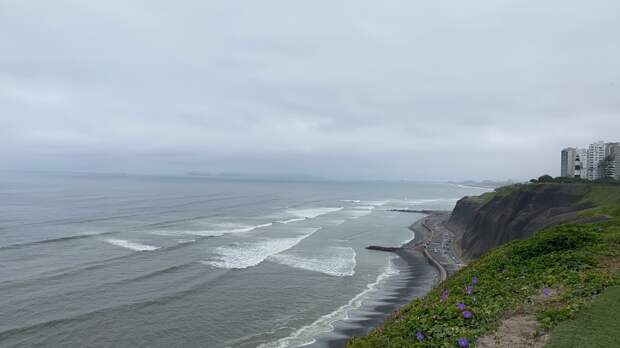 Как я поехала в Перу растения силы пить.