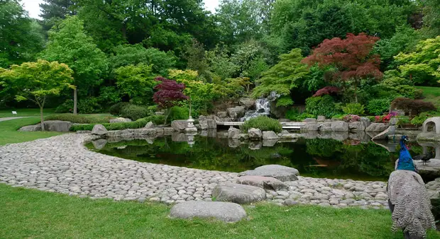 Kyoto garden (, 