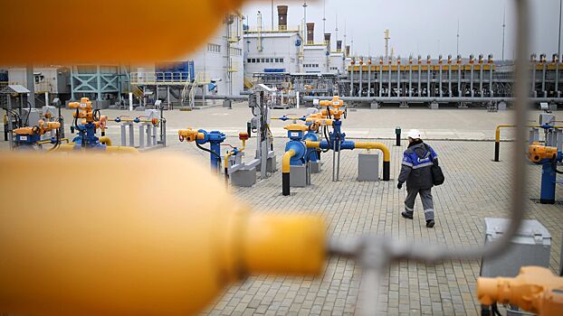 Политик из Германии назвал «благословением» поставки газа из России