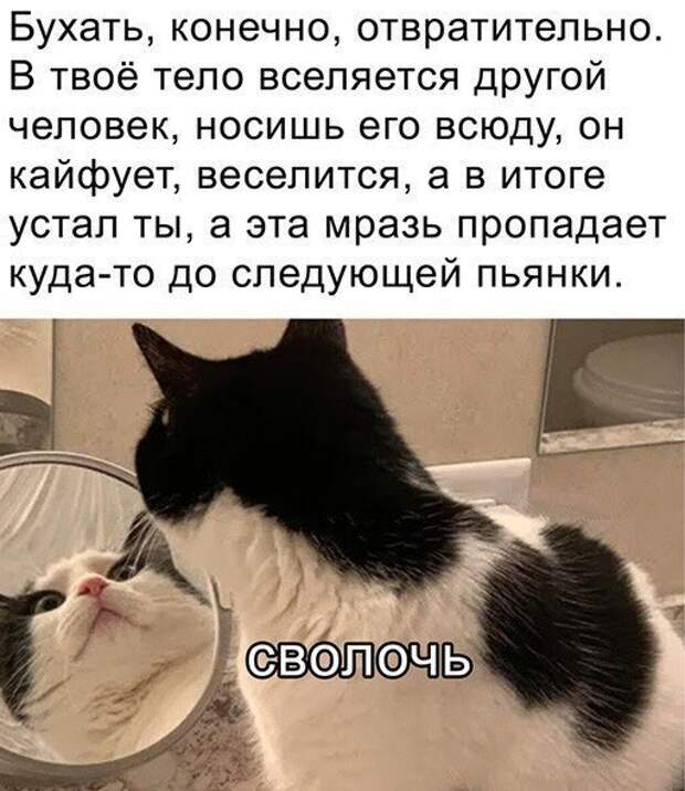 Баянисто-небаянистый юмор
