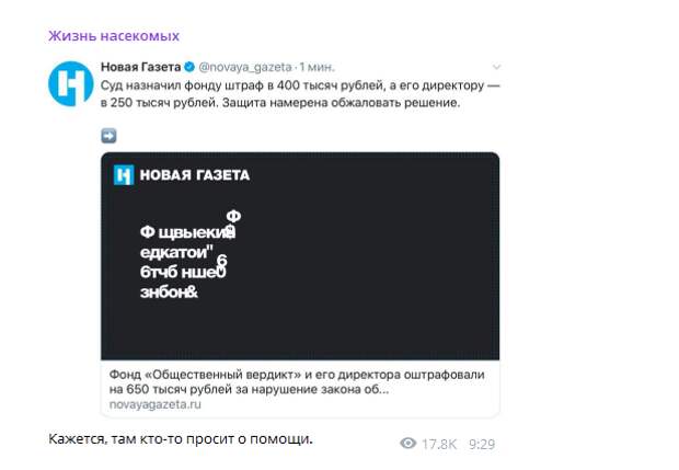 Спасибо ФБК: почему «Новую газету» затроллили в Сети? Спасибо ФБК: почему «Новую газету» затроллили в Сети? жданов, фбк, сканадл