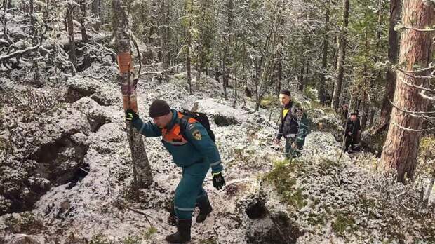 Новая экспедиция по поиску Усольцевых под Красноярском начнется в мае
