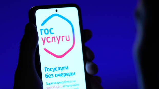 Госуслуги без границ: россиянам за рубежом готовят цифровой доступ к сервисам РФ