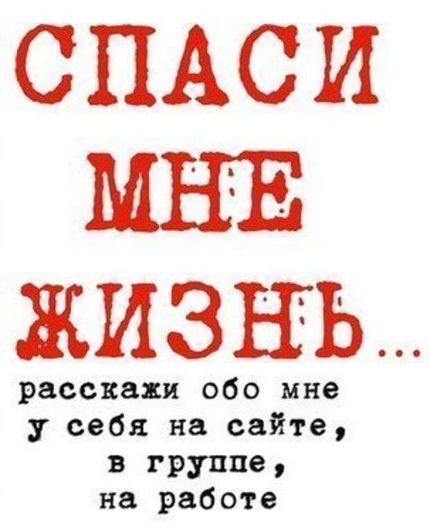 Мега SOS!!! Малыши в очень плохом состоянии... Они скоро погибнут.. Умоляем, помогите1