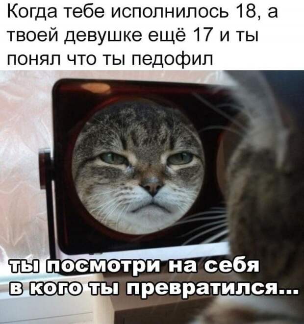Мемы и приколы про 