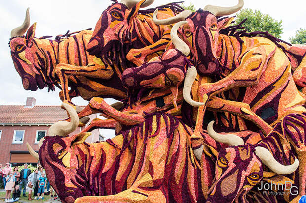 flower-sculpture-parade-corso-zundert-2016-netherlands-30