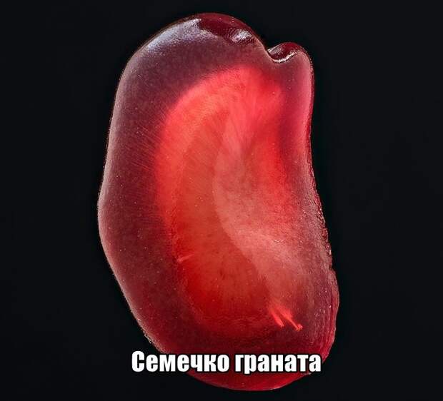 kartinok-intepesnyh-prikolnyh-kartinki-smeshnye-kartinki-fotoprikoly
