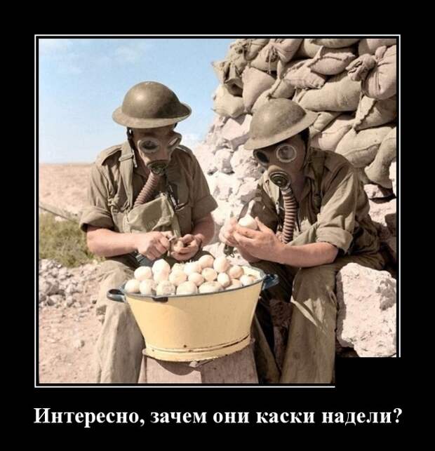 www.vsyako.net