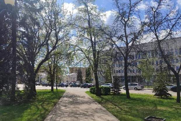 В Тамбове установится летняя погода