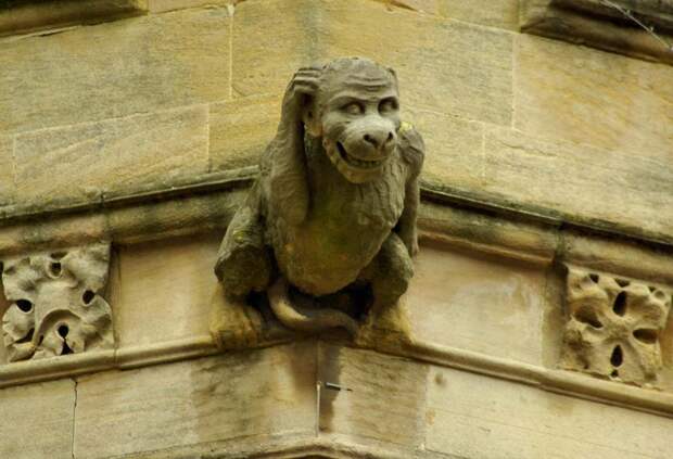 Гаргульи Gargoyles 11 Гаргульи в фотографиях