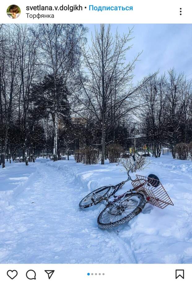 Фото дня: в парке «Торфянка» катались на велосипеде по снегу
