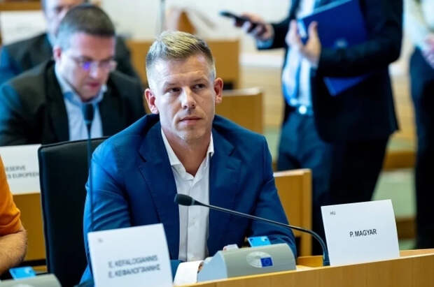 Политологи сказали, какими будут отношения РФ и Венгрии после победы «Тисы»