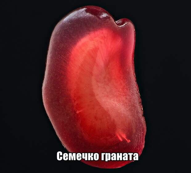 www.vsyako.net