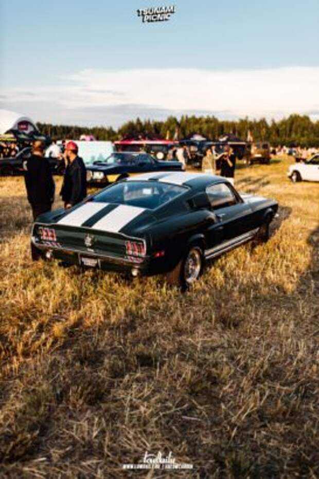 tsunami picnic x lowdaily 24