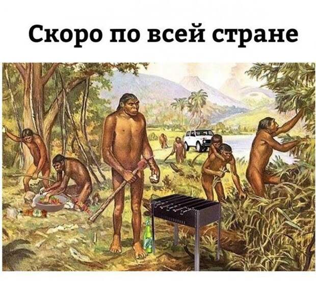 Дачное картинки, прикол, юмор