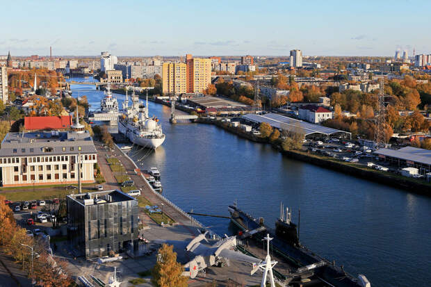 "КП": в Калининград доставят скульптуру Петра I