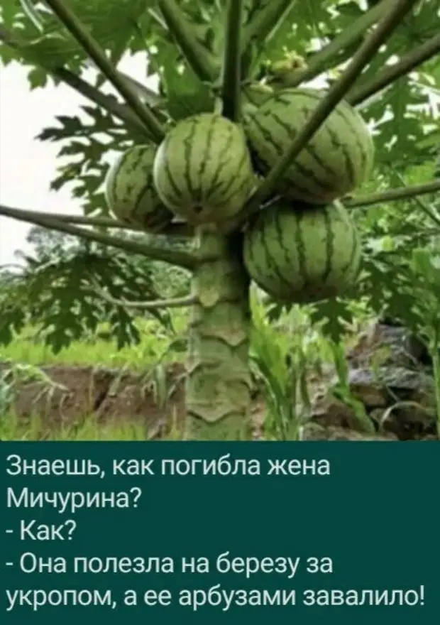 Живёшь всю жизнь Сашкой, а потом - раз! И Николаич... Живёшь всю жизнь Сашкой, а потом - раз! И Николаич... спрашивает, дралифь, сегодня, пьяный, немножко, Первый, Почему, будет, рукой, цветы, иногда, глазом, оторвано, переднего, огромный, Подруга, Слушай, тобой, случилось, Всера