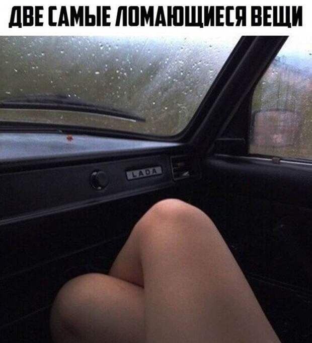 Смешные и познавательные картинки