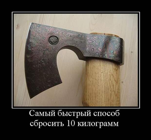 Демотиваторы (20 фото)