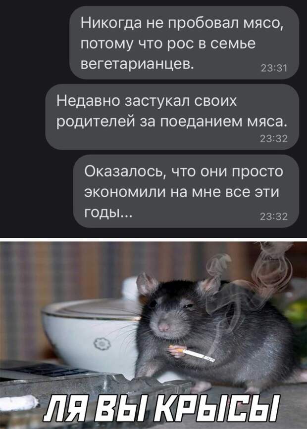 Фото-приколы для вашего настроения