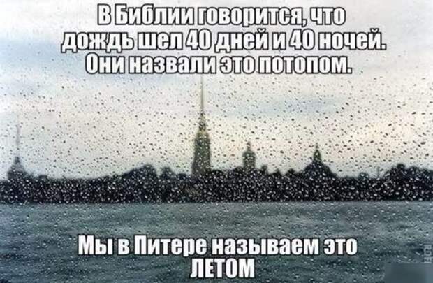 Санкт-Петербург и самые остроумные шутки, которые о нем слагают Санкт-Петербург и самые остроумные шутки, которые о нем слагают