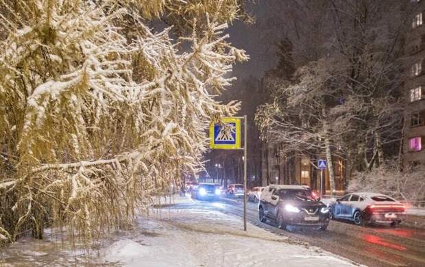 Платные парковки Петербурга готовятся к зиме