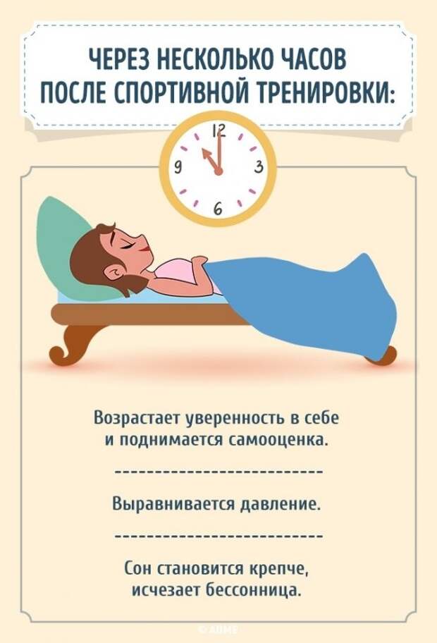 Как реагирует организм на ежедневные занятия спортом