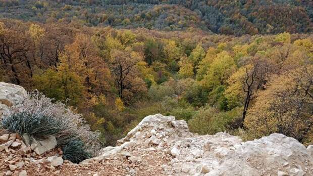 Погибла! Звонок в горах и роковое фото: эксперимент школьницы закончился трагически