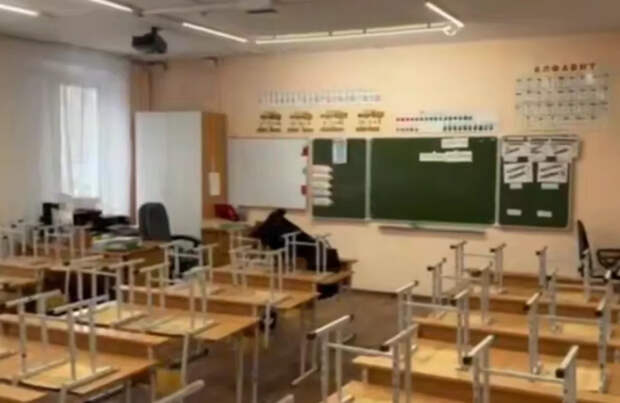 В 2026 году предотвращено 21 нападение школьников на учителей и учеников