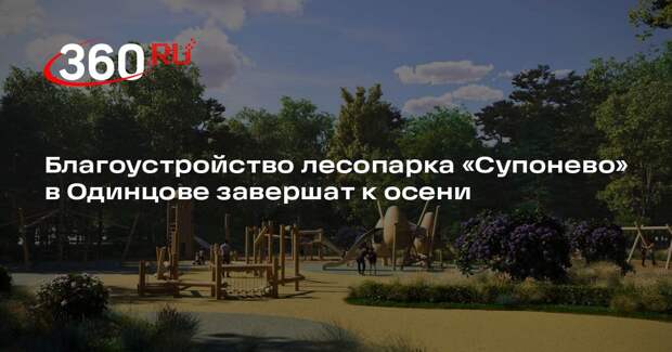 Благоустройство лесопарка «Супонево» в Одинцове завершат к осени