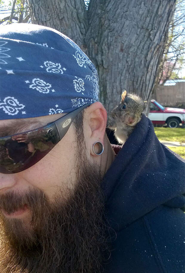 Unknowingly Hired A Disney Princess As A Contractor