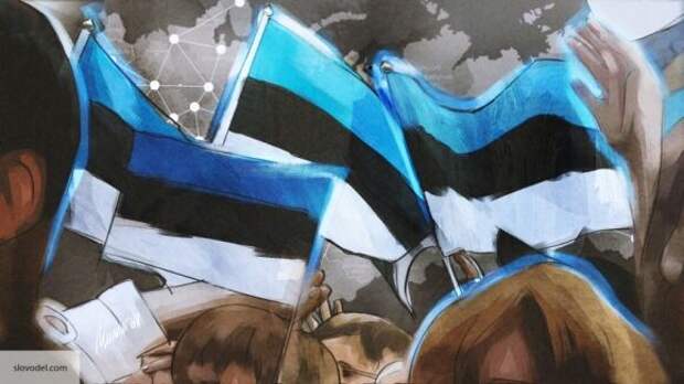 Клинцевич раскрыл, как Эстония будет расплачиваться за реабилитацию нацизма