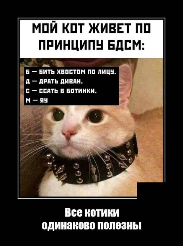 Демотиваторы 15 октября 2021 года