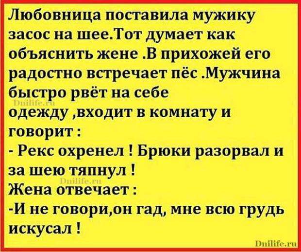 Женщина в панике звонит своему врачу среди ночи: - Алло, доктор!...