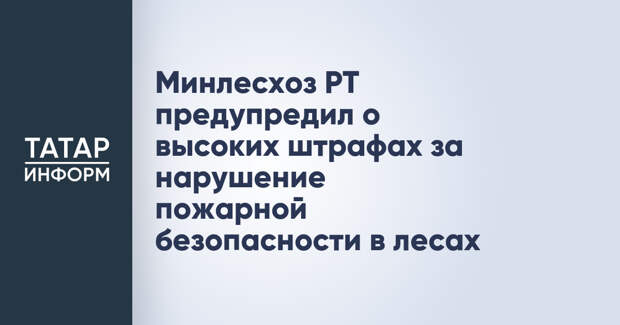 Минлесхоз РТ предупредил о высоких штрафах за нарушение пожарной безопасности в лесах