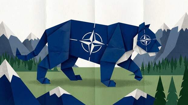 Трамп назвал НАТО без США «бумажным тигром»