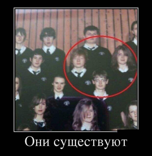 Демотиваторы (30 фото)