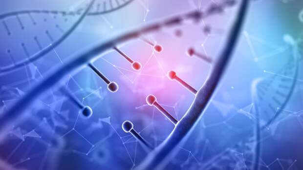 Почему нельзя выбрать пол ребенка при ЭКО? Объясняет репродуктолог
