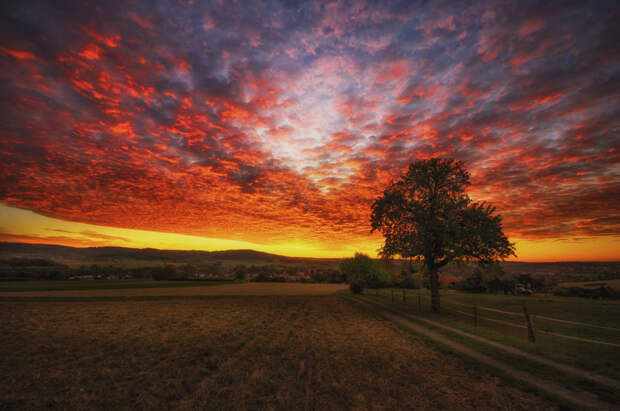 colors of freedom by Ralf Thomas on 500px.com