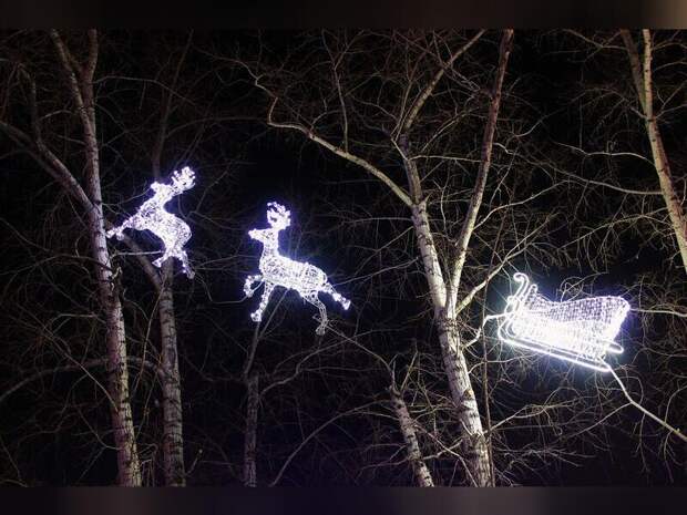 Всего 33% жителей Читы чувствуют новогоднее настроение