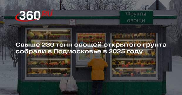Свыше 230 тонн овощей открытого грунта собрали в Подмосковье в 2025 году