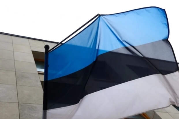 Postimees: на севере Эстонии нашли обломки, вероятно, украинского БПЛА