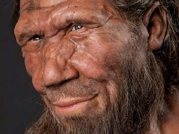 Неандертальцы были более устойчивыми к ядовитым газам, чем думали ученые раньше