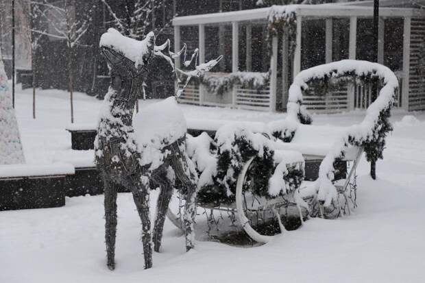 В Туле 31 декабря пройдет снег и похолодает до -9 градусов
